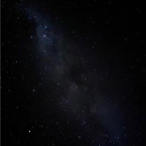 Meet your Posher, Tilly